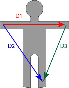 Dérivations bipolaires des membres